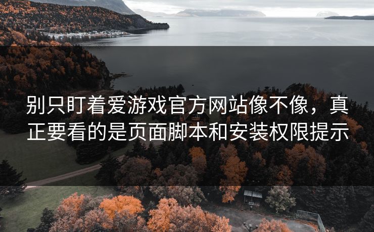 别只盯着爱游戏官方网站像不像，真正要看的是页面脚本和安装权限提示