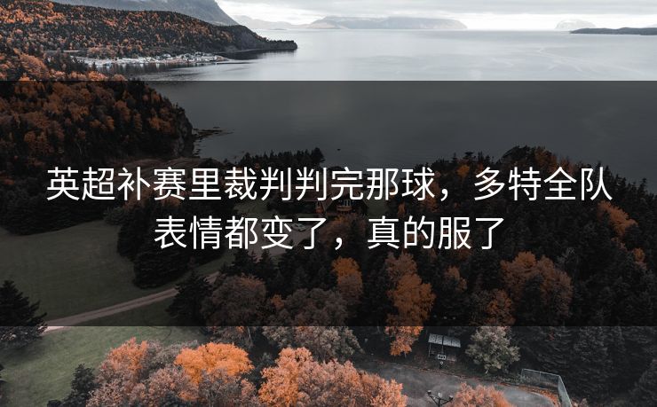 英超补赛里裁判判完那球，多特全队表情都变了，真的服了