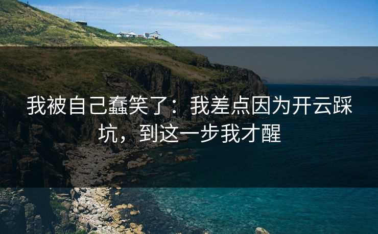 我被自己蠢笑了：我差点因为开云踩坑，到这一步我才醒