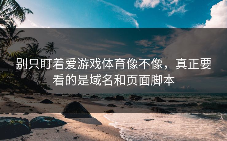 别只盯着爱游戏体育像不像，真正要看的是域名和页面脚本